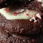 Easy Chocolate Peppermint Cookies: A Festive Delight That Melts in Your Mouth 1 easy chocolate peppermint cookies a festive delig 2025 11 23 161837 150x150 1