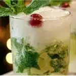 White Christmas Mojitos 15 white christmas mojitos 2025 12 03 203932 150x150 1
