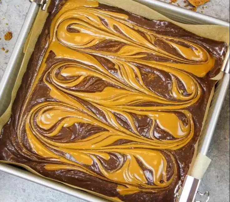 Delicious Biscoff Brownies topped with Biscoff spread and chocolate drizzles.