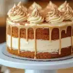 biscoff cookie butter cake 2026 01 26 183140 1024x683 1