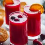 cranberry citrus detox juice 2026 02 10 210614 819x1024 1