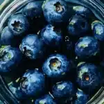 fermented honey blueberries 2026 03 31 123119 1024x683 1